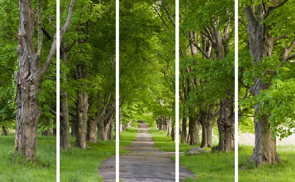 DerWeg